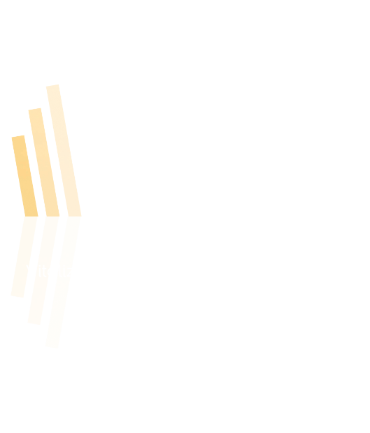 Vitalize logo